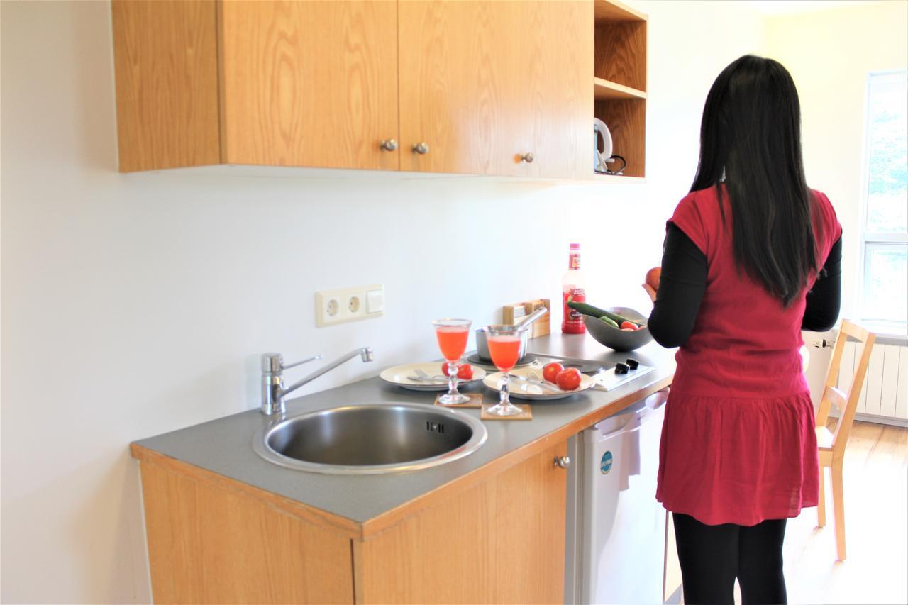 Solheimar Eco-Village Guesthouse エクステリア 写真