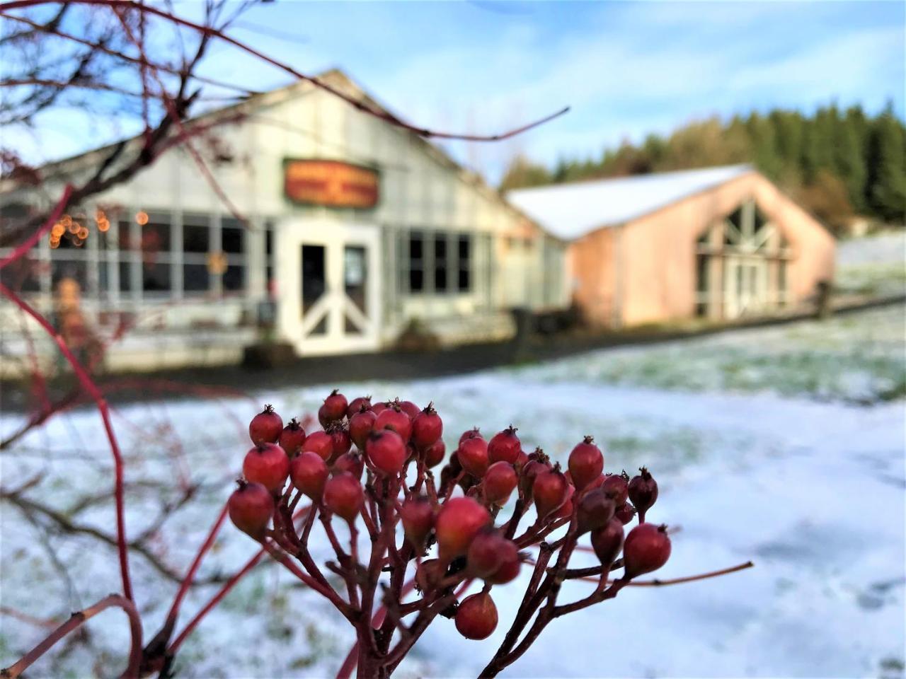 Solheimar Eco-Village Guesthouse エクステリア 写真